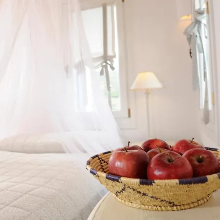 Villa Dreamy In Andros, With Private Pool And Stunning Sea View *